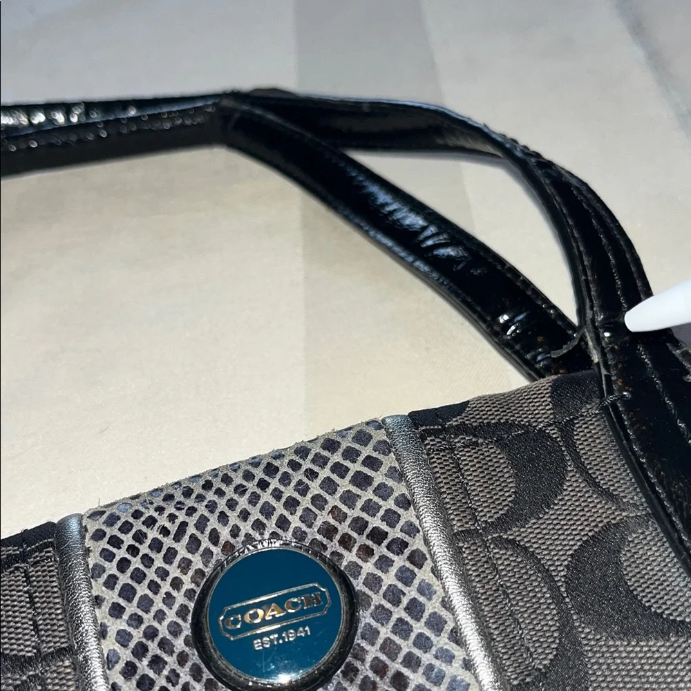 Coach Signature Python Stripe Tote Shoulder Canvas Bag (H1360 - F25706)